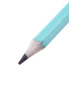 Набор карандашей чернографитных Calligrata. Pastel, 12 штук, HB, с ластиком, шестигранный, пластиковый, МИКС - Фото 5