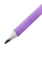 Набор карандашей чернографитных Calligrata. Pastel, 12 штук, HB, с ластиком, трёхгранный, пластиковый, МИКС - Фото 5