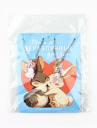 Подвески неразлучники «Неразлучные друзья» 11×14 см 10574605 - фото 15835996