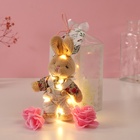 Набор подарочный «Зайчик в комбинезоне», мыльные розовые розы 5 шт., роса, 7×7×12 см - Фото 1