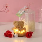 Набор подарочный «Мишка беж с бантом», мыльные красные розы 5 шт., роса, 7×7×12 см - Фото 3