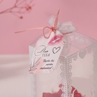 Набор подарочный «Мишка в комбинезоне», мыльные красные розы 5 шт., роса, 7×7×12 см - Фото 5