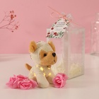 Набор подарочный «Пёсик белый», мыльные розовые розы 5 шт., роса, 7×7×12 см - Фото 2