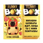 Игрушка - сюрприз Funny box «Капибарочки»: детский брелок, наклейки 10670173 - фото 2061011