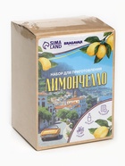 Подарочный набор для приготовления настойки «Лимончелло», набор специй, штоф - Фото 9