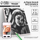 Алмазная мозаика по фото с полным заполнением «Gray», на холсте с подрамником, А4 - фото 322357643