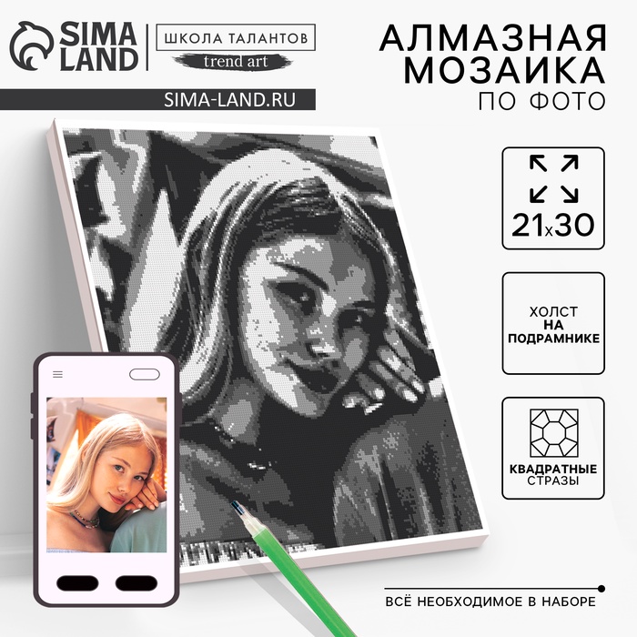 Алмазная мозаика по фото с полным заполнением «Gray», на холсте с подрамником, А4 - Фото 1