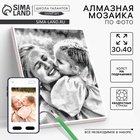 Алмазная мозаика по фото, на раме 30×40, полное заполнение, Gray - Фото 1