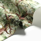 Дорожка на стол «Этель» Family picnic, 40×146 см, 100% хлопок, саржа 190 г/м² - Фото 6