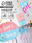 Посуда одноразовая бумажная для праздника «Гендер Пати», на 6 персон, 14 предметов - Фото 1