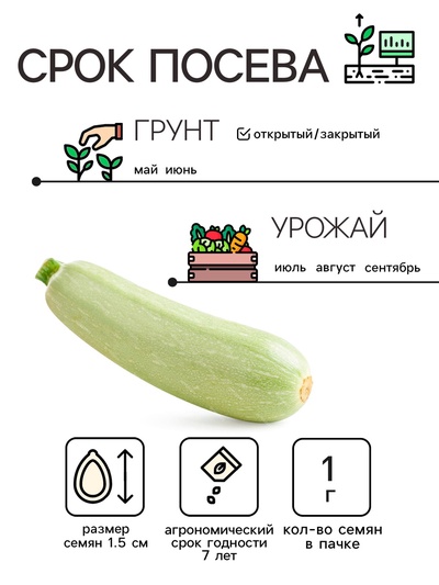 Семена Кабачок «Белоплодные», 1 г, раннеспелый, «Рецепты дедушки Никиты»