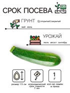 Семена Кабачок "Скворушка", 1 г - Фото 2