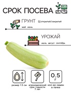Семена Кабачок белоплодный «Грабовский», 0.5 г, среднеранний, «Рецепты дедушки Никиты» - Фото 4