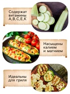Семена Кабачок белоплодный «Грабовский», 0.5 г, среднеранний, «Рецепты дедушки Никиты» - Фото 2
