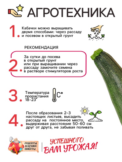 Семена Кабачок цукини «Фараон», 1 г, раннеспелый, «Рецепты дедушки Никиты»