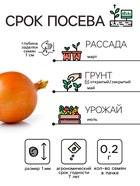 Семена Лук репчатый "Эксибишен", 0,2 г - Фото 2