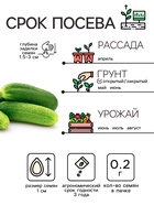 Семена Огурец «Бочковой», 0.2 г, «Рецепты дедушки Никиты» - Фото 2