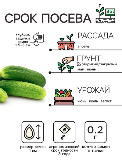 Семена Огурец «Бочковой», 0.2 г, «Рецепты дедушки Никиты»