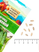 Семена Огурец «Бочковой», 0.2 г, «Рецепты дедушки Никиты» - Фото 3