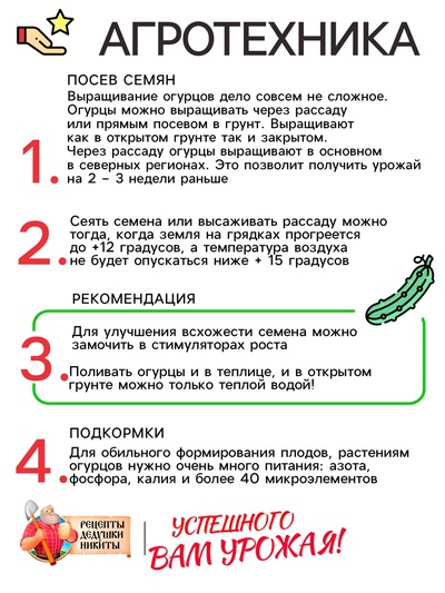 Семена Огурец «Бочковой», 0.2 г, «Рецепты дедушки Никиты»