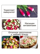 Семена Редис "Французский завтрак", 1,5 г - Фото 3