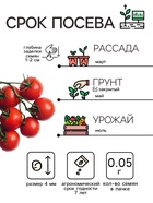 Семена Томат черри "Вишня красная", 0,05 г - Фото 2