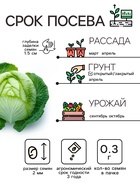 Семена Капуста белокочанная "Подарок", 0,3 г - Фото 3