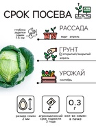 Семена Капуста белокочанной "Вьюга", 0,3 г - Фото 3