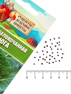 Семена Капуста белокочанной "Вьюга", 0,3 г - Фото 2