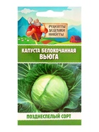 Семена Капуста белокочанной "Вьюга", 0,3 г - Фото 6