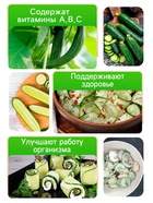 Семена Огурец "Китайские змеи", 0,4 г - Фото 2