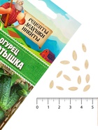 Семена Огурец "Коротышка", 0,4 г - Фото 3