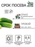 Семена Огурец "Нежинский", 0,5 г 10781776 - фото 14208278