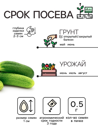 Семена Огурец «Парижский корнишон», 0.5 г, «Рецепты дедушки Никиты»