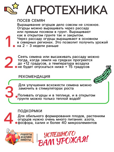 Семена Огурец «Парижский корнишон», 0.5 г, «Рецепты дедушки Никиты»