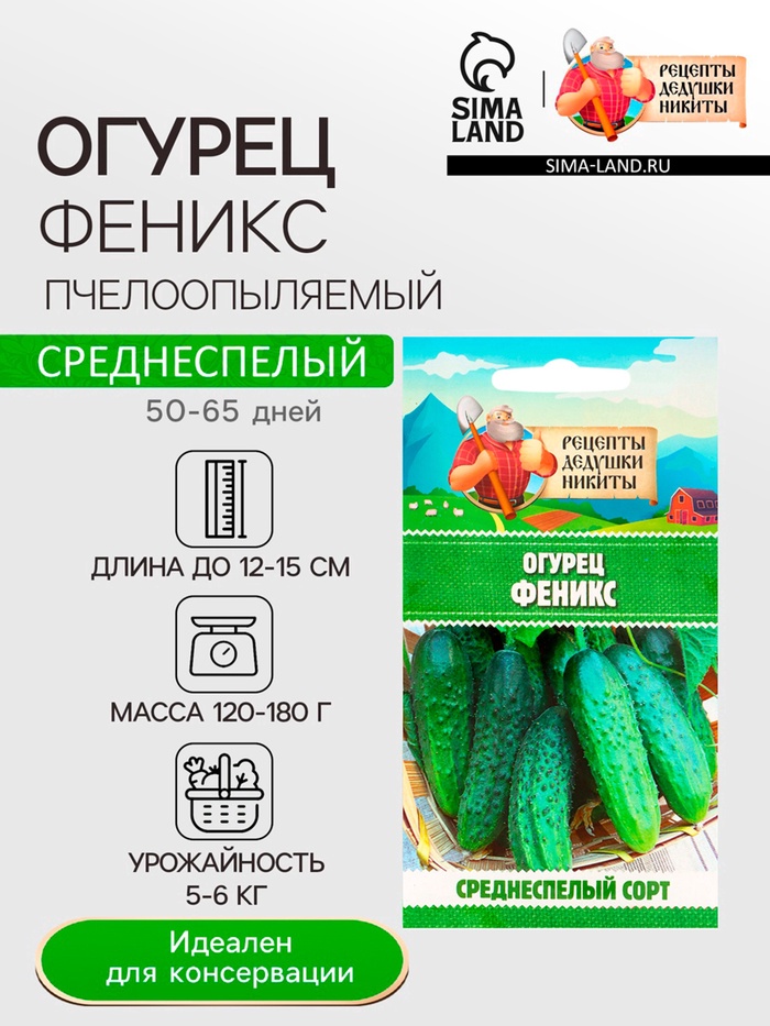 Семена Огурец «Феникс», пчелоопыляемый, среднеспелый, 0.5 г
