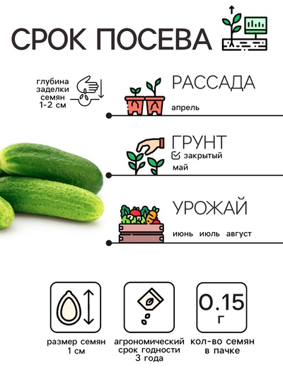 Семена Огурец «Зозуля», 0.15 г, «Рецепты дедушки Никиты»