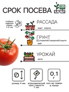 Семена Томат "Челнок", 0,1 г - Фото 4