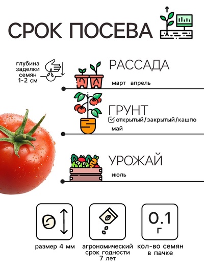 Семена Томат "Челнок", 0,1 г