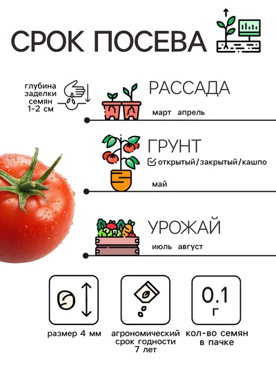 Семена Томат "Ляна", 0,1 г