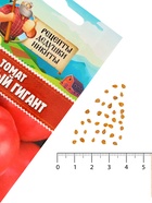 Семена Томат "Розовый гигант", 0,1 г - Фото 5