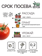 Семена Томат "Сибирский скороспелый", 0,2 г - Фото 5
