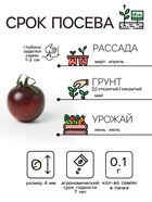 Семена Томат "Черный Мавр", 0,1 г - Фото 5