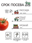 Семена Томат "Яблонька России", 0,05 г 10781804 - фото 2767378