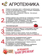 Семена Томат "Яблонька России", 0,05 г - Фото 4