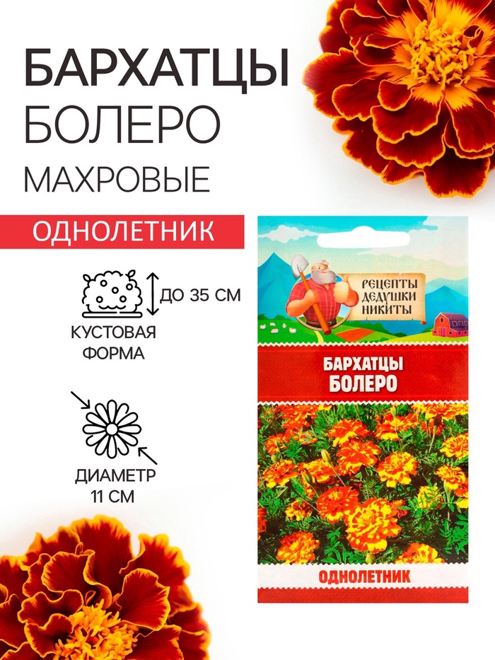 Семена цветов Бархатцы «Болеро», 0.2 г - Фото 1