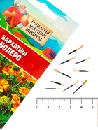 Семена цветов Бархатцы «Болеро», 0.2 г - Фото 3