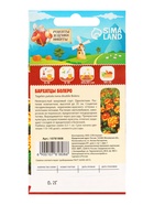 Семена цветов Бархатцы «Болеро», 0.2 г - Фото 7