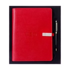 Органайзер на кольцах,ПВХ,А5,140 л, клетка,с ручкой,подар. короб,флешка,зарядка Красный - фото 44053222