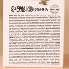 Подарочный набор «С Новым Годом», гель для душа 100 мл, крем для рук 30 мл, пилочка для ногтей URAL LAB 10430691 - фото 14373599